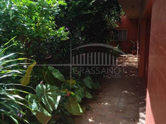 #311 - Casa para Locação em Arapongas - PR