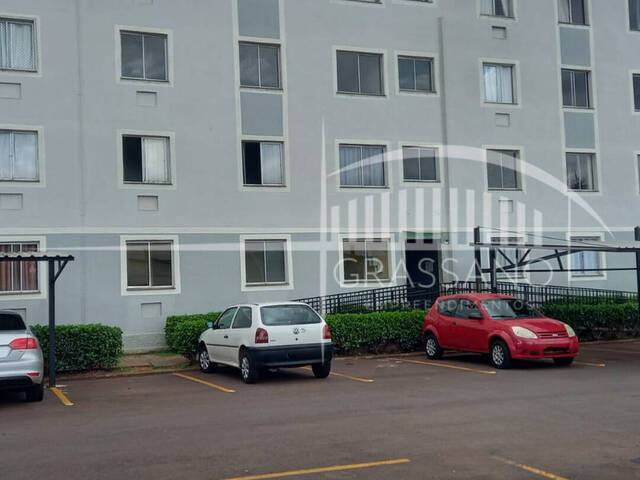 Apartamento para Locação em Arapongas - 4