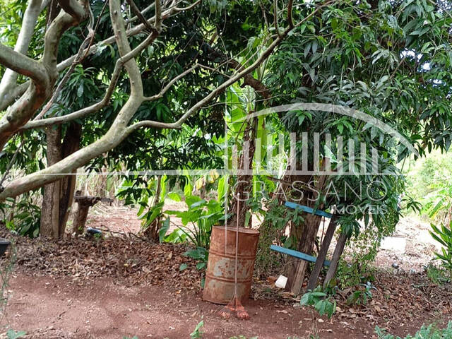 #601 - Chácara para Venda em Arapongas - PR