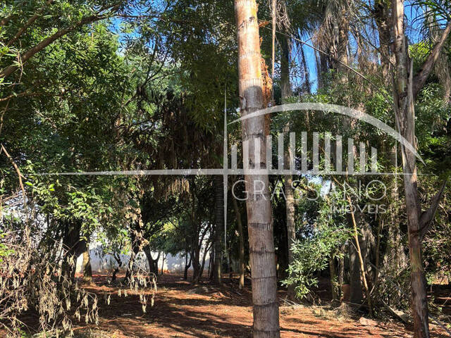 Terreno para Venda em Arapongas - 2