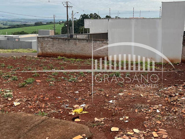 Área para Venda em Arapongas - 4